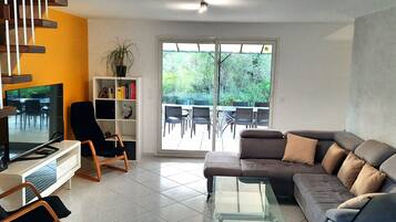 Télévision, cheminée, lecteur de DVD, livres