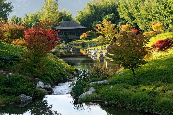 Jardines del alojamiento