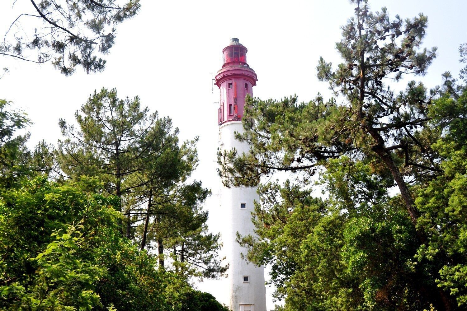 Ulkopuoli