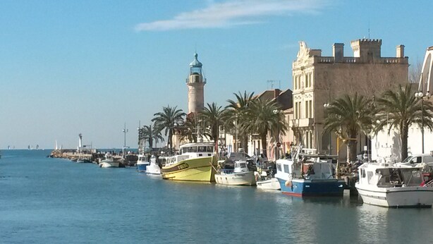 Una banchina con barche ormeggiate, una torre imponente e palme lungo la passeggiata.