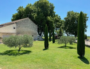 Property grounds - Comfortable gîte in a 19th century Provencal farmhouse ideally located (Fontvieille)