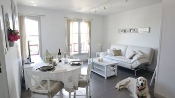 Télévision, lecteur de DVD, livres, vidéothÚque