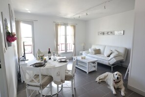 TV, DVD player, books, video library