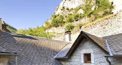 Beautiful vaulted house dating from 1647 (Jeanne's house)