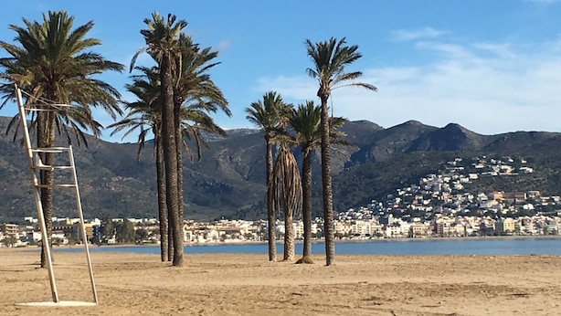 A beach with palm trees and a ladder, a mountain in the background, and a town across the water. - APARTAMENTOS AQUARIUM (REF 31). NEXT TO THE BEACH. RENOVATED. (Roses)
