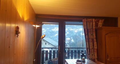 Large Studio Cabin with magnificent view of the Mountains