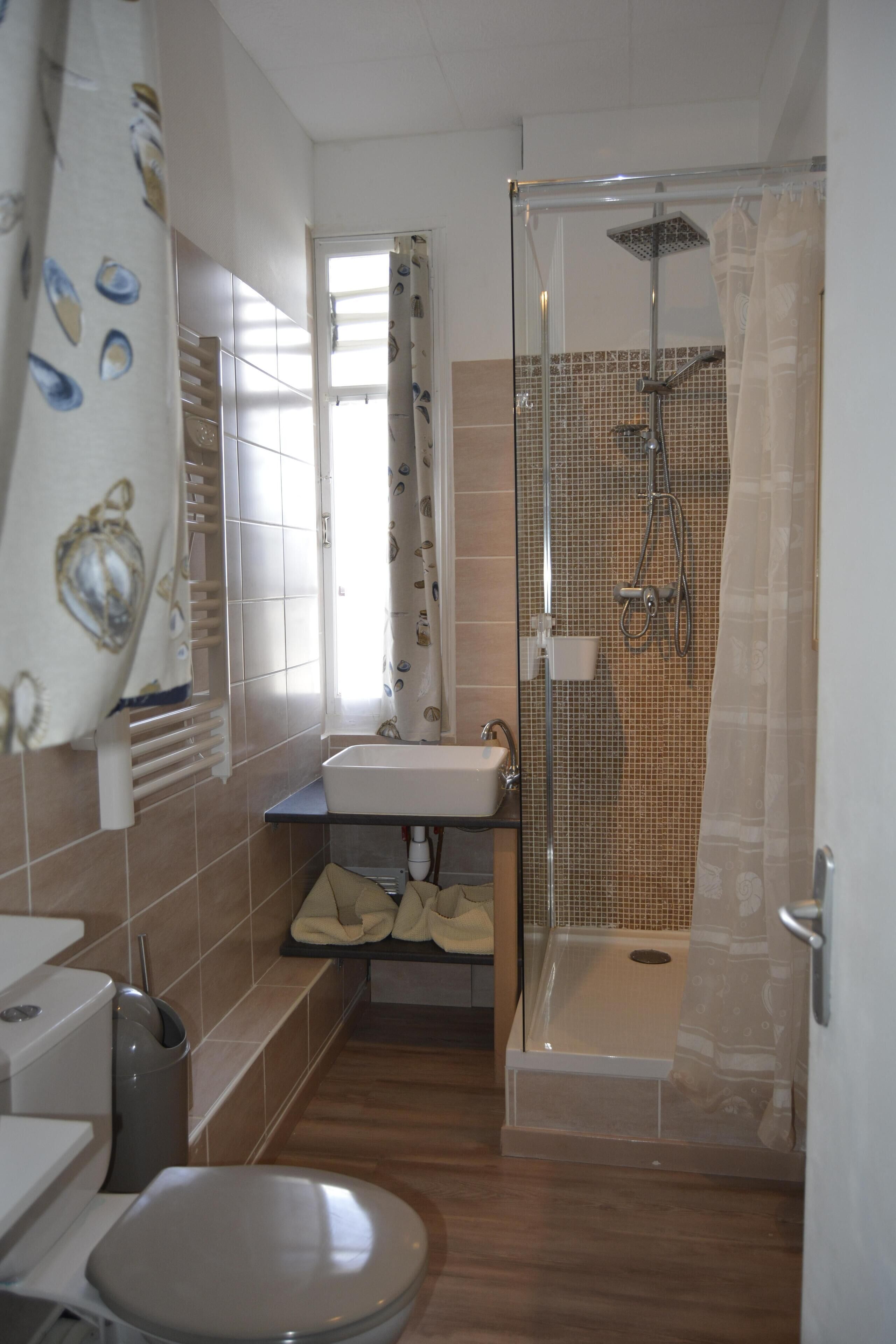 Shower, hair dryer, towels