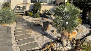 Una casa moderna con un sendero de piedra que conduce a una puerta de vidrio, rodeada de diversas plantas y una palmera.