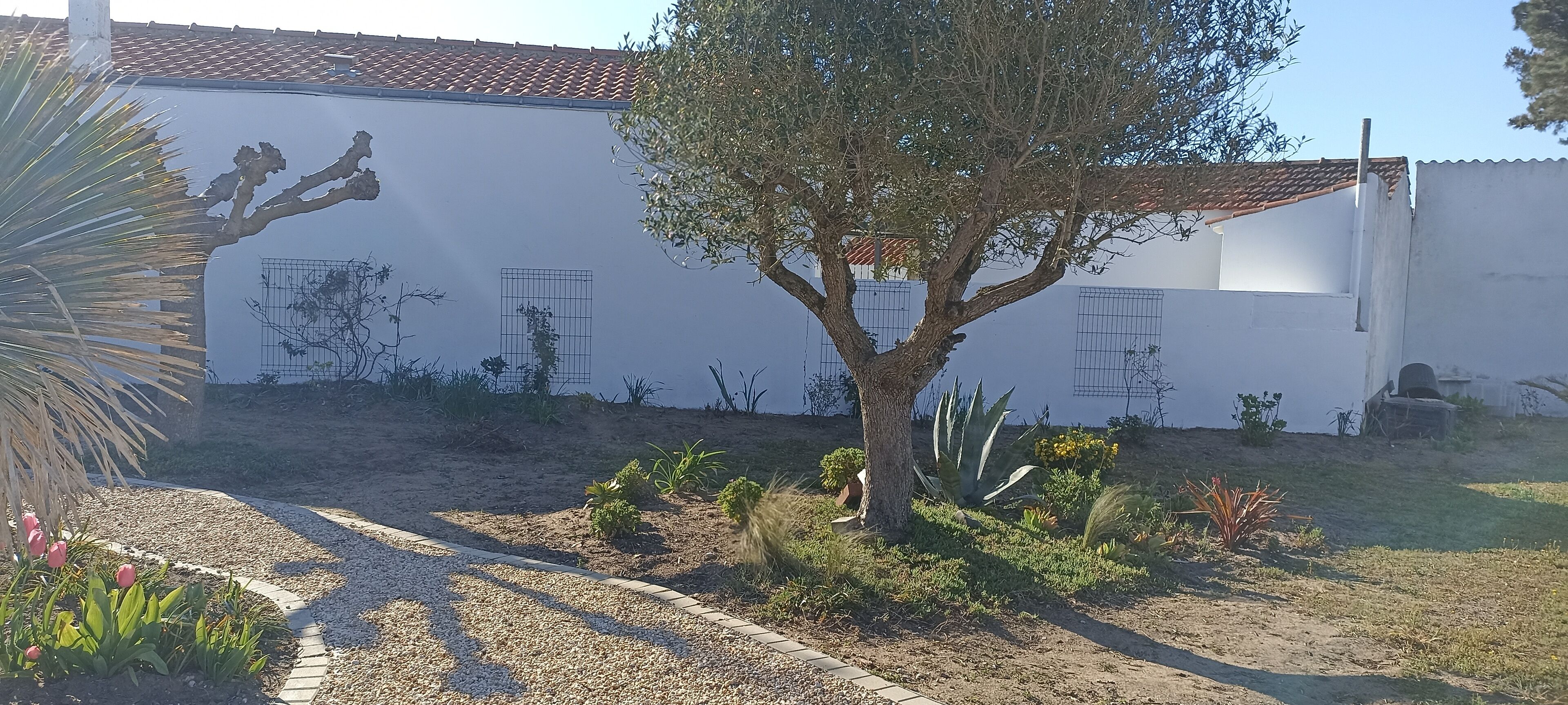 A building with a tiled roof, surrounded by a garden with various plants and a gravel pathway.