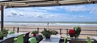 Charming house with enclosed garden, 300 m from the sea, pets welcome.