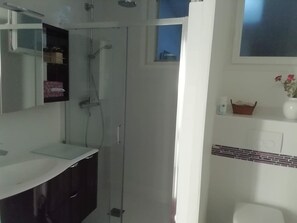 Regadera, secadora de cabello, toallas, papel de baño 