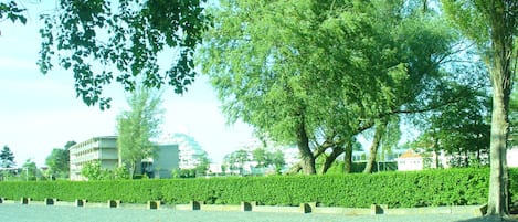 Área da propriedade