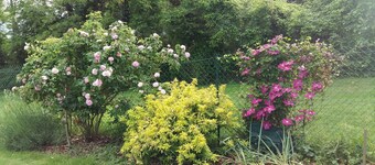 House on wooded property in LA CHAPELLE SAINT FRAY - LE MANS SARTHE -24H