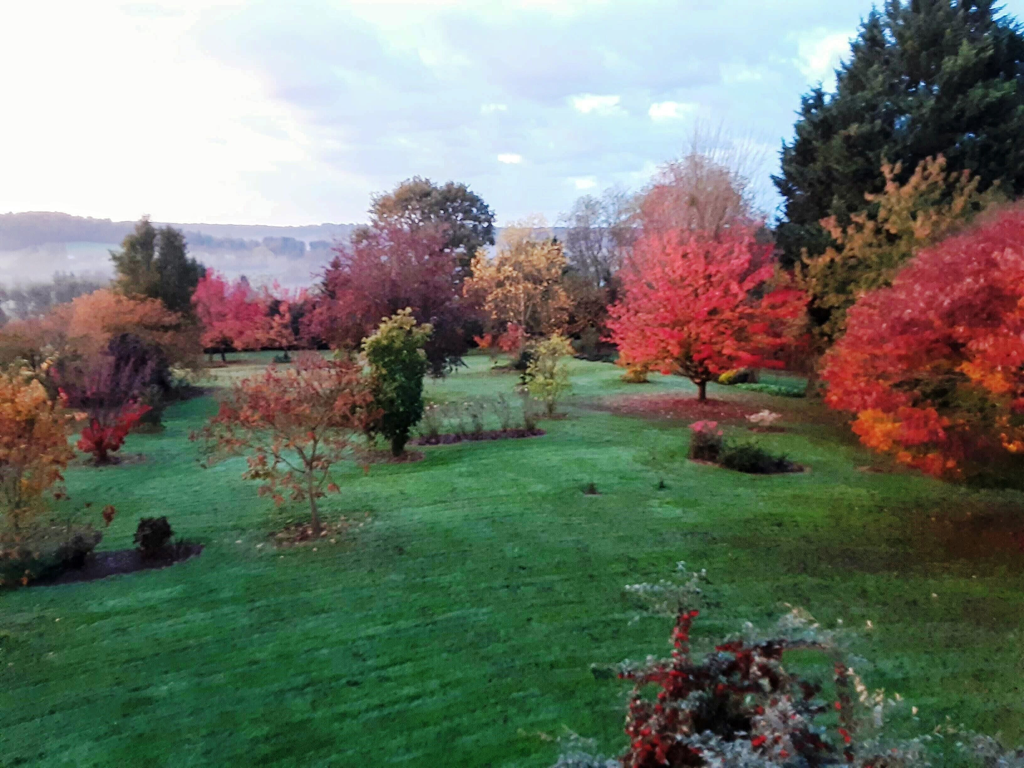 Jardines del alojamiento
