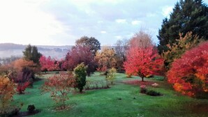 Um campo gramado com árvores em diversas cores de outono.
