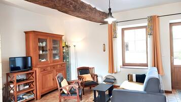 TV, fireplace, DVD player, books