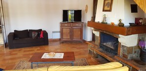 Una televisión, una chimenea, libros