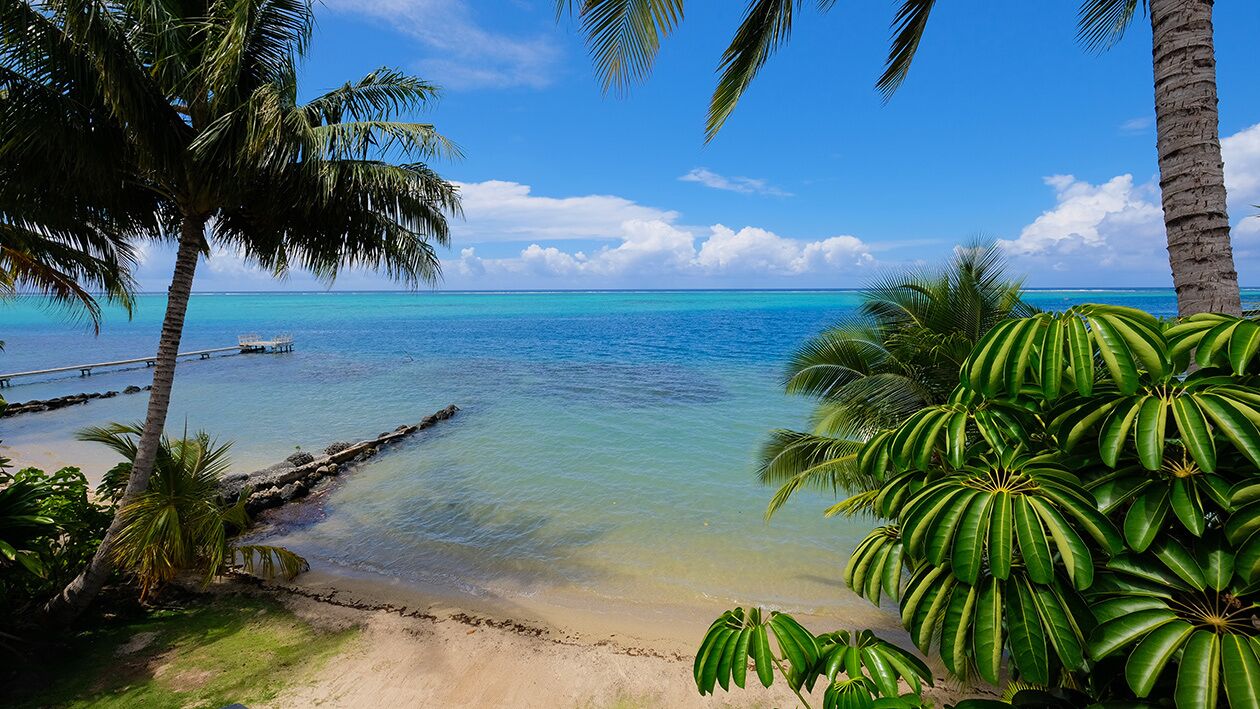 On the beach, sun-loungers, beach towels