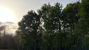 Suorakulmainen uima-allas, jossa on kirkas, sininen vesi. Altaan ympärillä on kivetty reunus ja nurmialue, jonka takana näkyy puita.