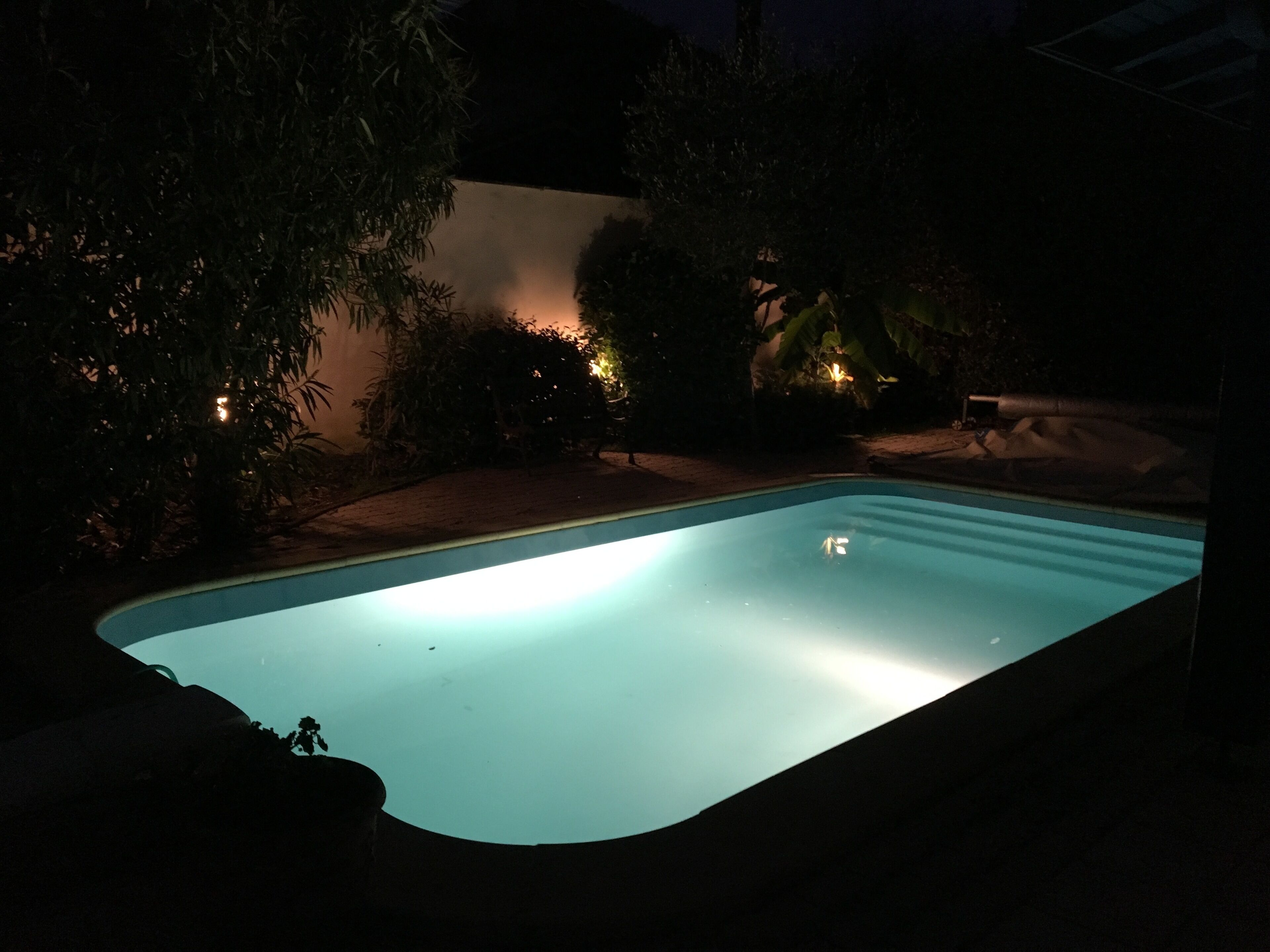 A swimming pool at night with surrounding vegetation and a wall.