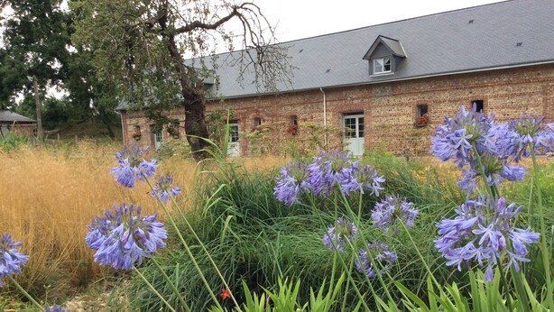 A rustic brick building with a sloped roof, surrounded by a garden with tall grasses and purple flowers.