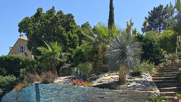 A pool area with stone steps, lounge chairs, and a variety of plants. - Superb sea-view villa with landscaped pool. Large garden, for 1 or 2 families (Cavalaire-Sur-Mer)