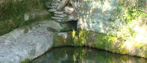 A stone bridge over a calm river with moss-covered stones and a small cave entrance.