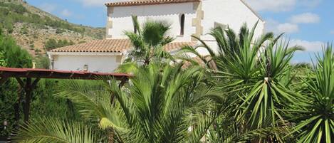 المنطقة المحيطة بالمنشأة