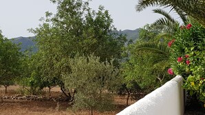 Een witte muur met uitzicht op een tuin, inclusief bomen en een berg in de verte.