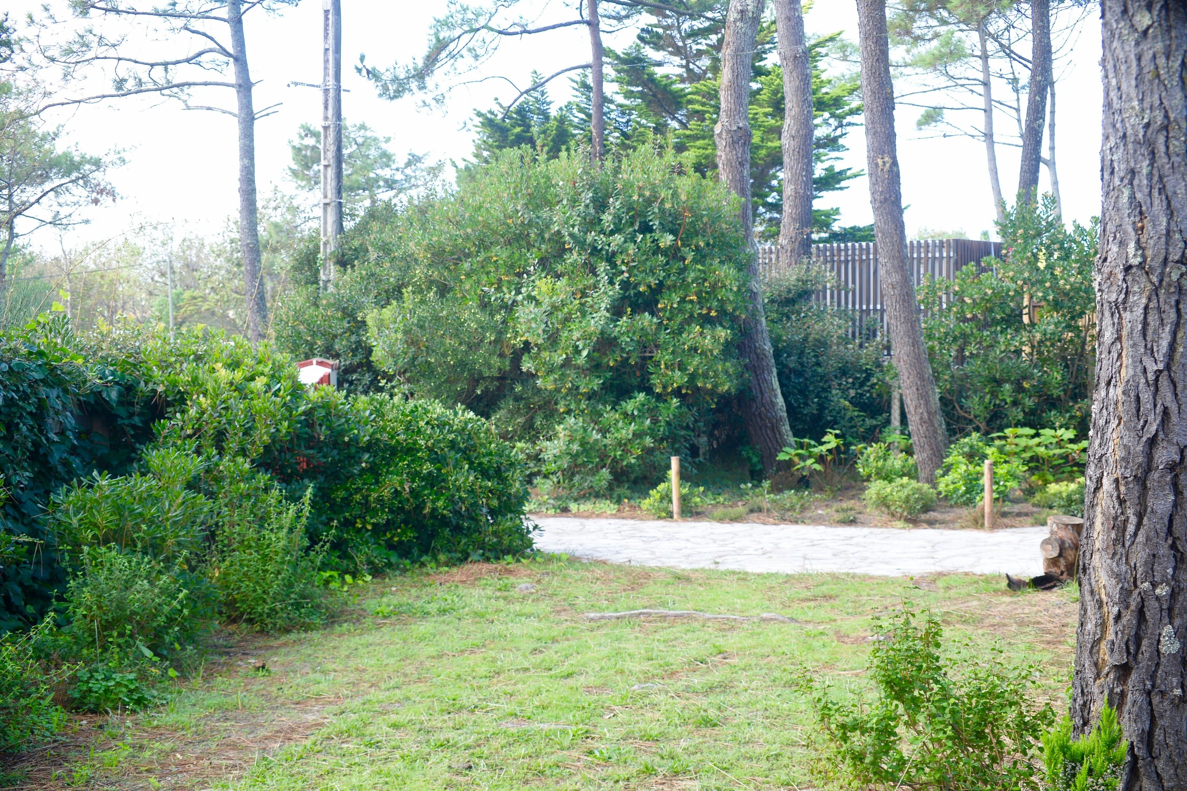 Área da propriedade