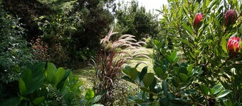 SECRET GARDEN, bottom of villa classified 3 * all comfort at the Plaine des Cafres