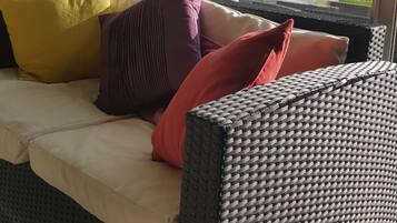 TV, DVD player, ping pong, books