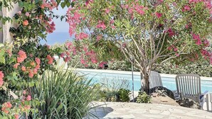 Ein Poolbereich mit Baum und rosa Blüten, einem Pool und einem Stuhl.