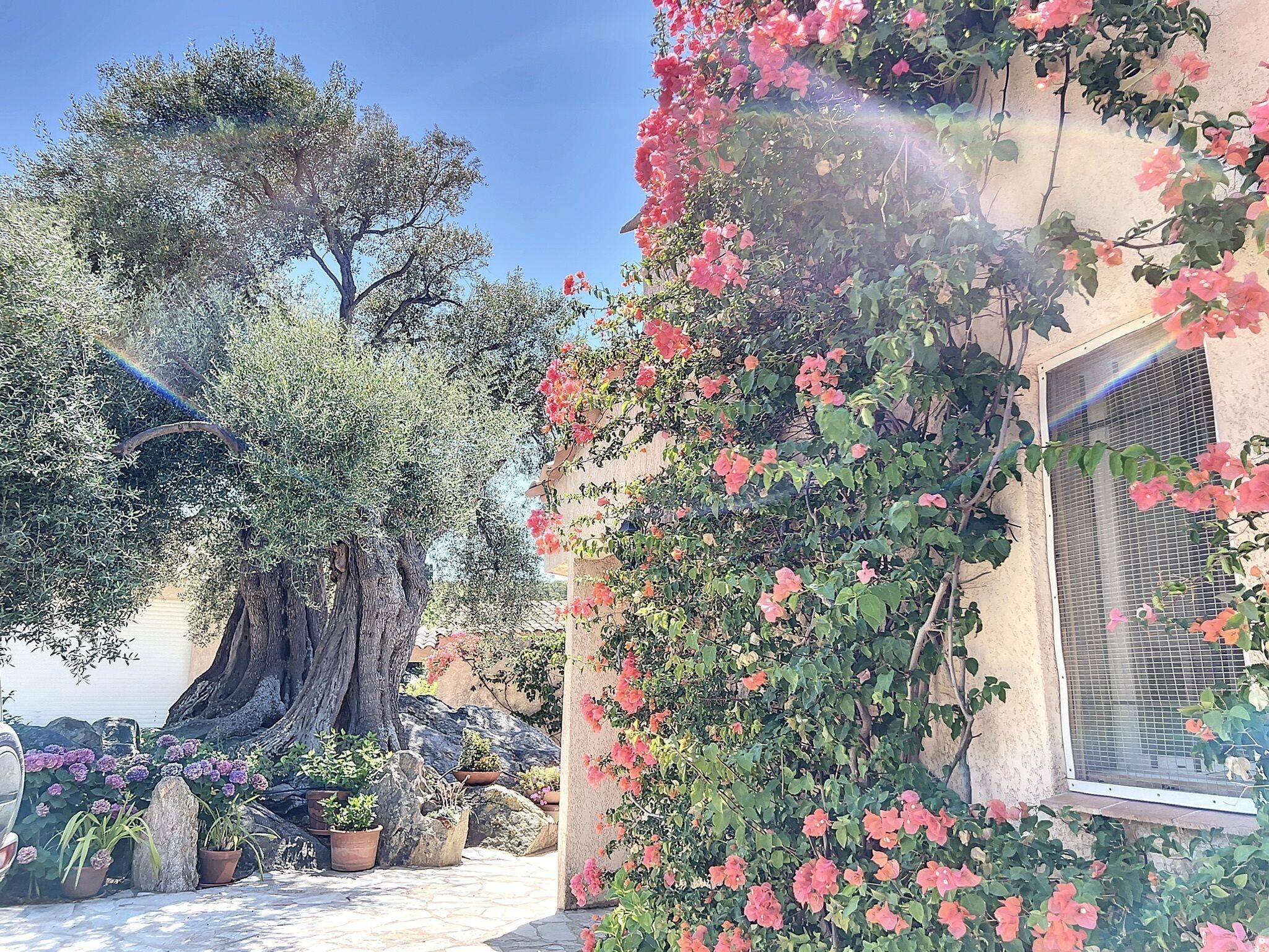 Overnattingsstedets uteområder