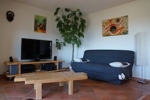 Télévision, cheminée, baby-foot, table de tennis de table
