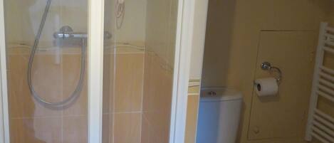 Un bagno con doccia vetrata, un water e un lavandino.
