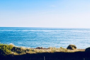 Paisaje costero con vista despejada al mar y vegetación herbácea en primer plano.