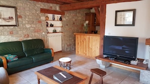 Televisión, chimenea, reproductor de DVD y libros 