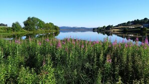 Botón de imagen sin clasificar, 4 de 59