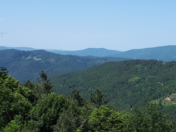 A mountainous landscape with dense forest and a clear sky. - House in small village Cevennes with pool and garden. (Chamborigaud)