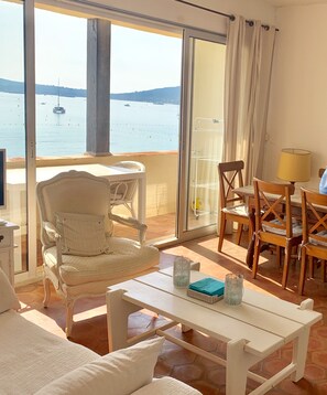 TV, DVD player, books