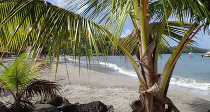 Renovated studio Trois Ilets Anse à l'Ane