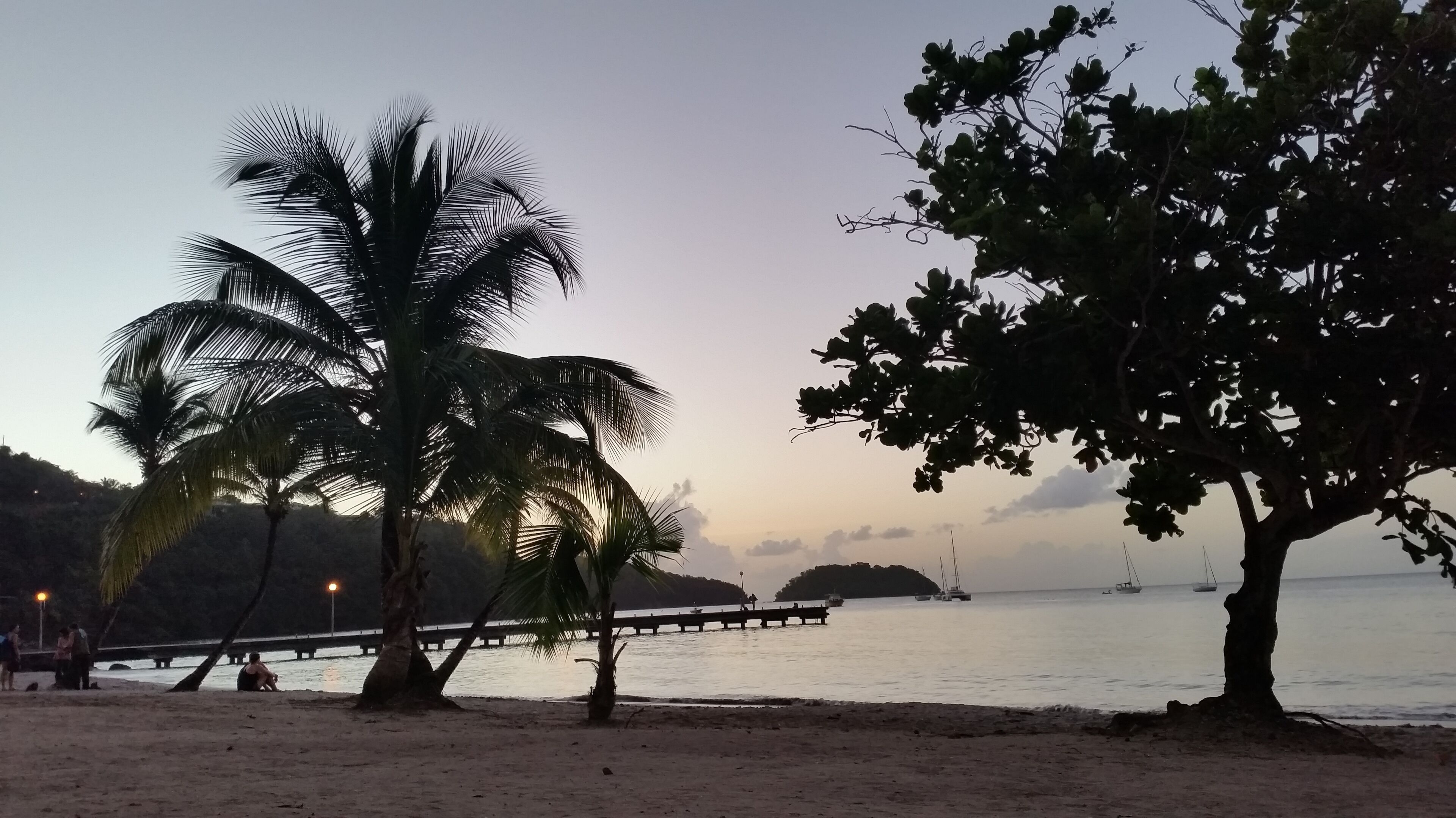 A beach with palm trees and a pier extending into the water.