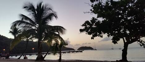 A beach with palm trees and a pier extending into the water.