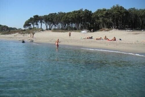 Apartment in luxury tree-lined residence, direct access to the beach