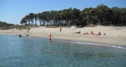 Apartment in luxury tree-lined residence, direct access to the beach