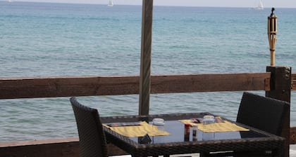 Appartement dans résidence de standing arborée, accÚs direct à la plage