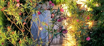 Emmas Cottage hytte stille i vinmarkene 3 km fra byen. i nærheten av Royan