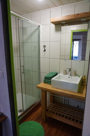 Shower, hair dryer, towels