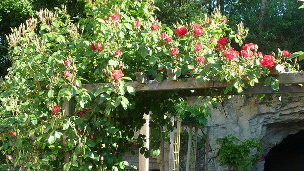 A garden with a wooden pergola covered in climbing roses. - For a stay in 2 very quiet in a tufa house in Anjou (Gennes-Val De Loire)